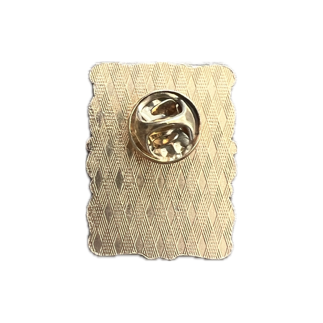 Harry Potter pin I Solemnly Swear achterkant