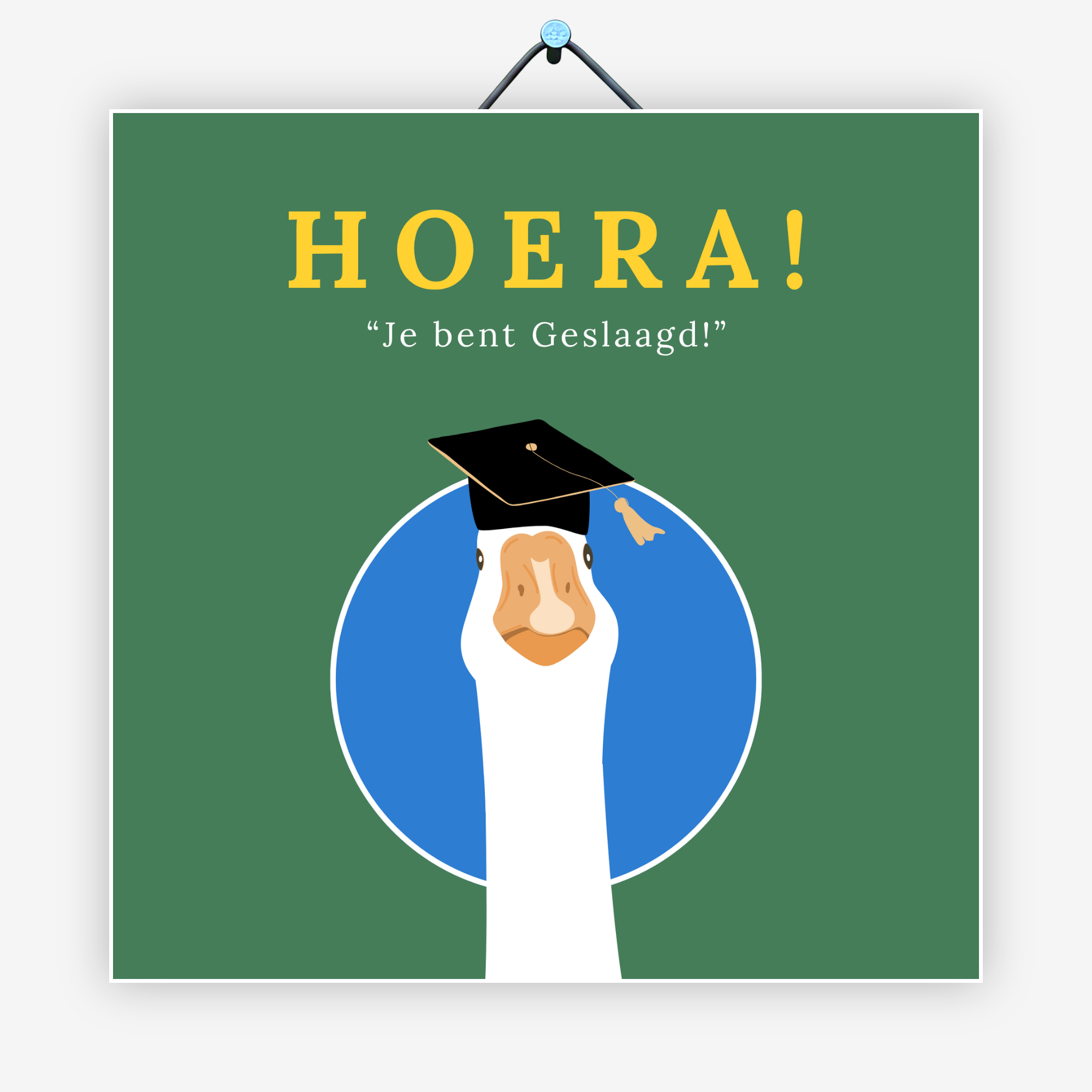Hoera! Je bent geslaagd!