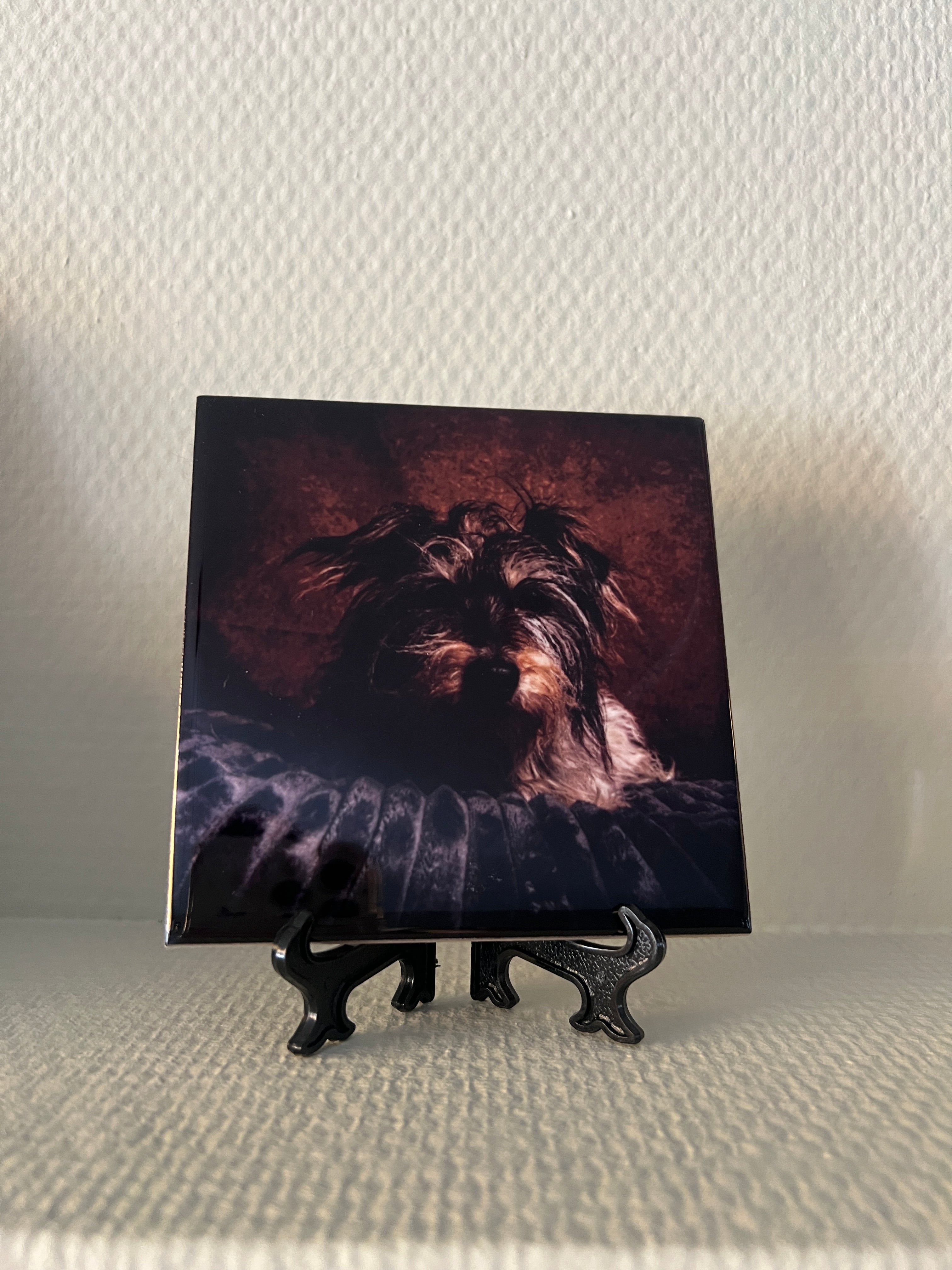 Fototegeltje met Jambo op een standaard