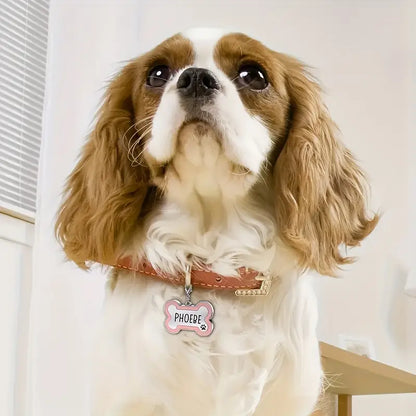 Hond met penning Phoebe