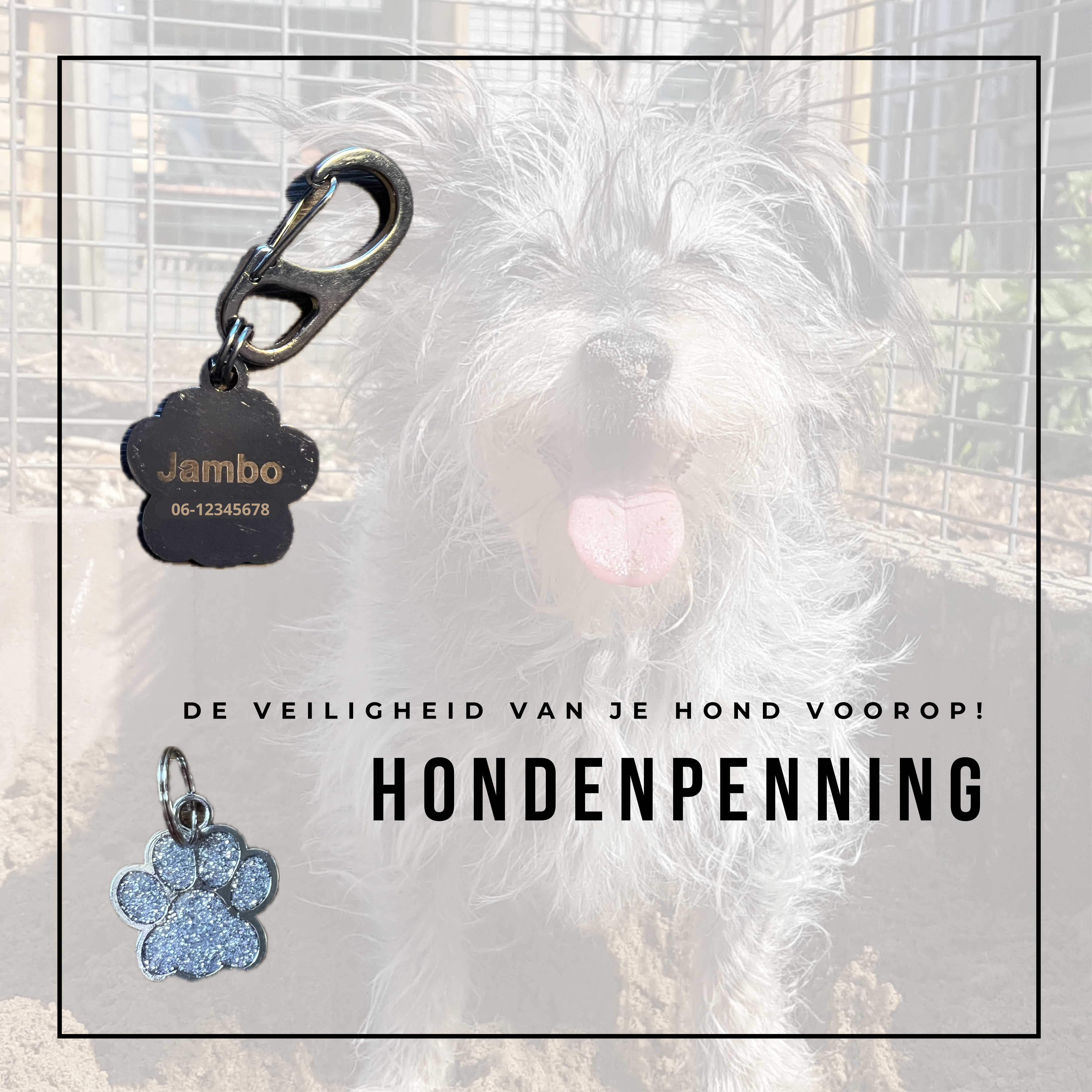 Hondenpenningen JamboDeal voor de veiligheid van jouw huisdier