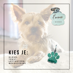 Hondenpenningen JamboDeal