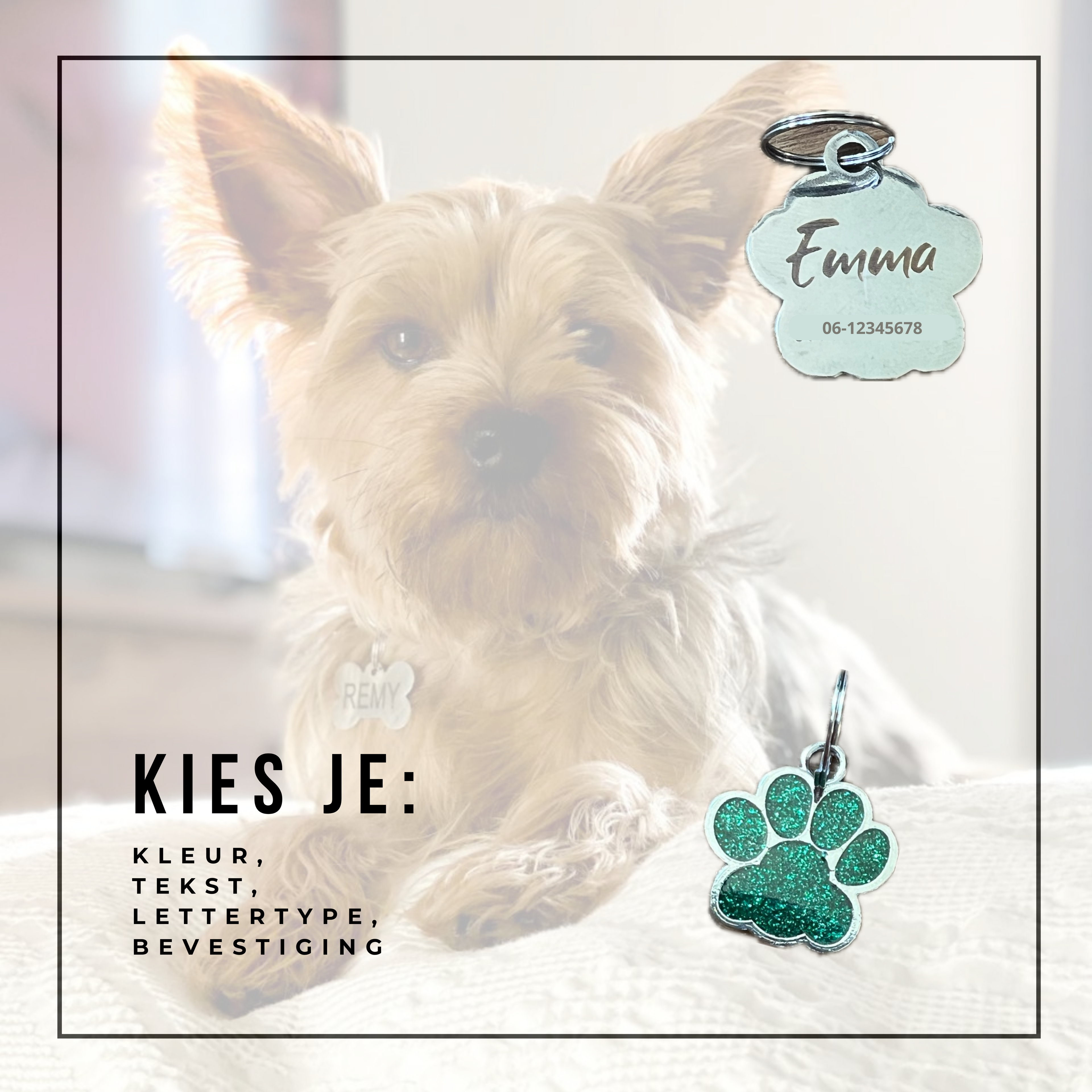 Hondenpenningen JamboDeal