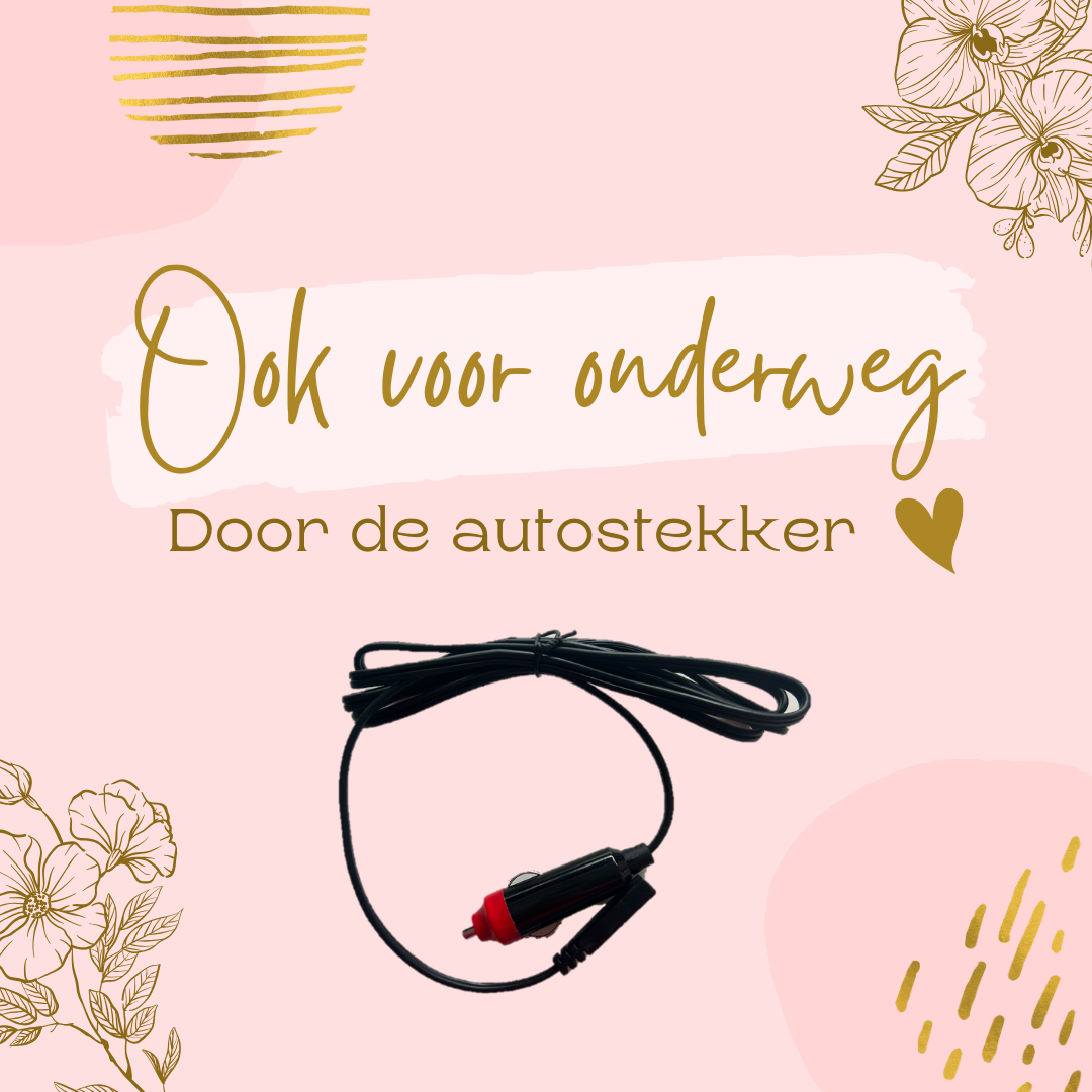 Skincare Fridge autostekker