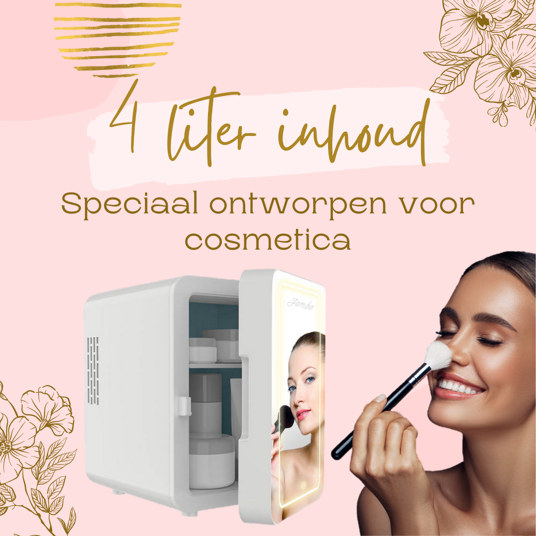 Skincare Fridge Wit 4 Liter Inhoud